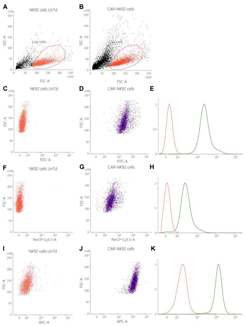 https://cdn.ncbi.nlm.nih.gov/pmc/blobs/4230/12347400/91074f9533c7/ijms-26-07648-g004.jpg