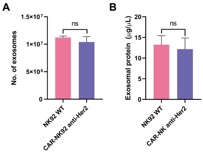 https://cdn.ncbi.nlm.nih.gov/pmc/blobs/4230/12347400/dbb7b07a6d24/ijms-26-07648-g006.jpg