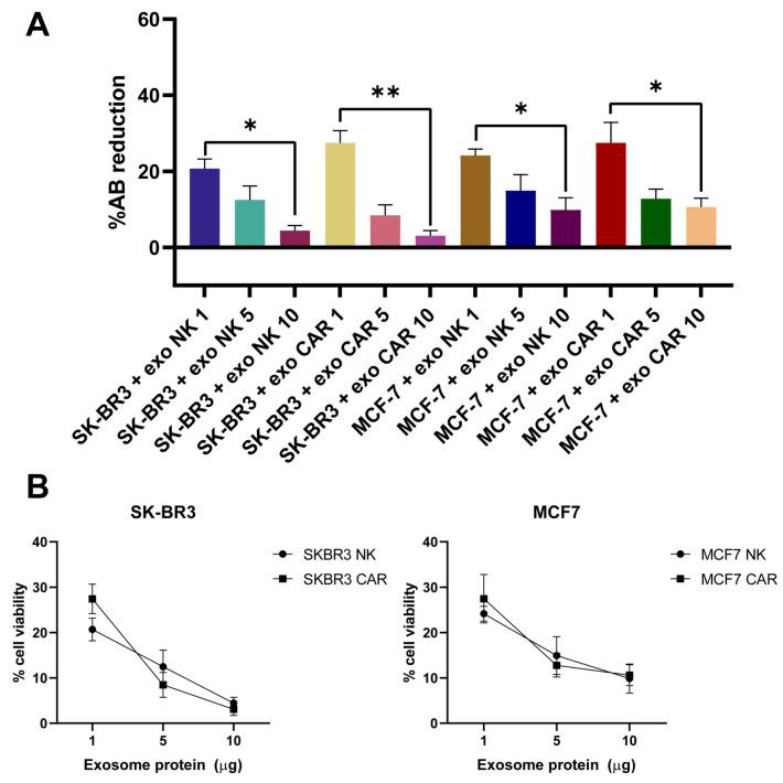 https://cdn.ncbi.nlm.nih.gov/pmc/blobs/4230/12347400/f9381f85a48f/ijms-26-07648-g011.jpg
