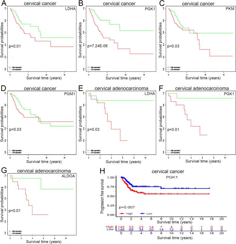 https://cdn.ncbi.nlm.nih.gov/pmc/blobs/4232/12004806/9aca1747f880/12885_2025_14133_Fig5_HTML.jpg
