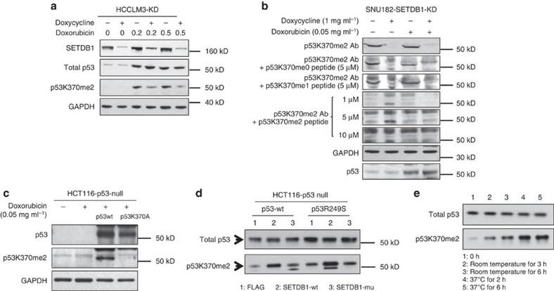 https://cdn.ncbi.nlm.nih.gov/pmc/blobs/4233/5426523/30c98d479626/ncomms9651-f6.jpg