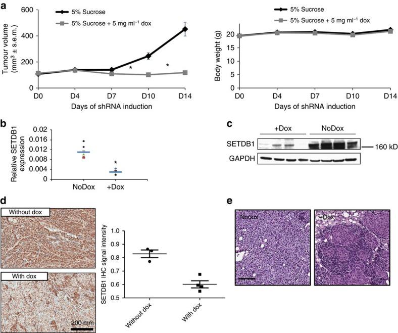 https://cdn.ncbi.nlm.nih.gov/pmc/blobs/4233/5426523/d2775e4944a7/ncomms9651-f8.jpg