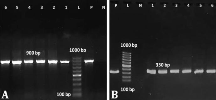 https://cdn.ncbi.nlm.nih.gov/pmc/blobs/4234/10475170/17dd12285e1f/vrf-14-415-g003.jpg