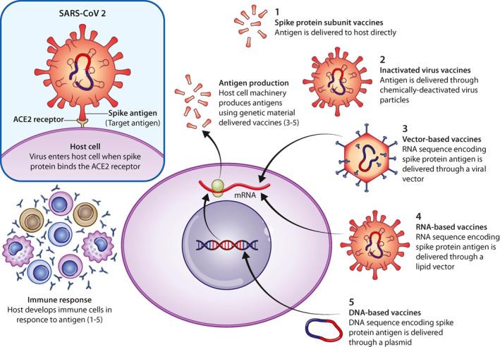 https://cdn.ncbi.nlm.nih.gov/pmc/blobs/4234/8435255/5f5e40219843/UEG2-9-787-g001.jpg