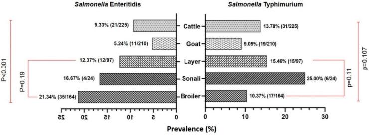https://cdn.ncbi.nlm.nih.gov/pmc/blobs/4235/11274296/14b5d280b80f/antibiotics-13-00586-g002.jpg
