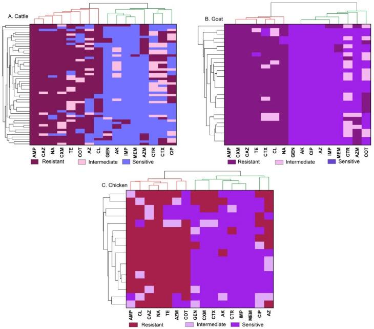 https://cdn.ncbi.nlm.nih.gov/pmc/blobs/4235/11274296/150636a32de4/antibiotics-13-00586-g003.jpg