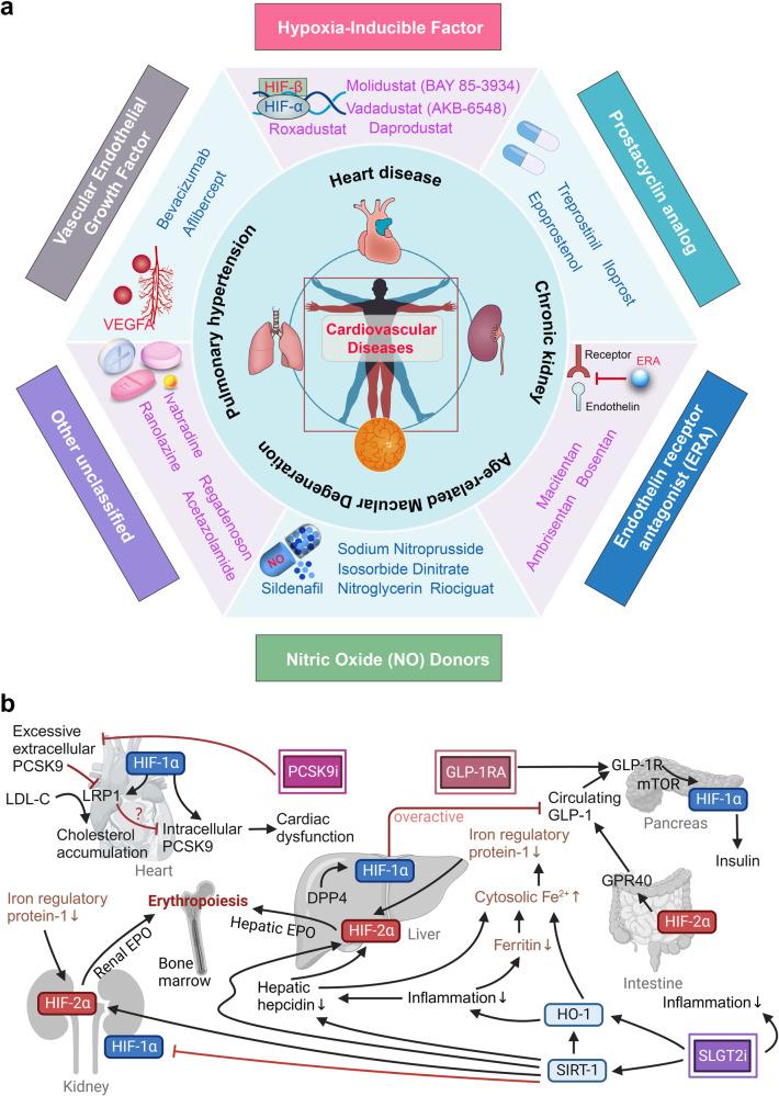 https://cdn.ncbi.nlm.nih.gov/pmc/blobs/4236/10658171/ac5c18fb8e39/41392_2023_1652_Fig6_HTML.jpg