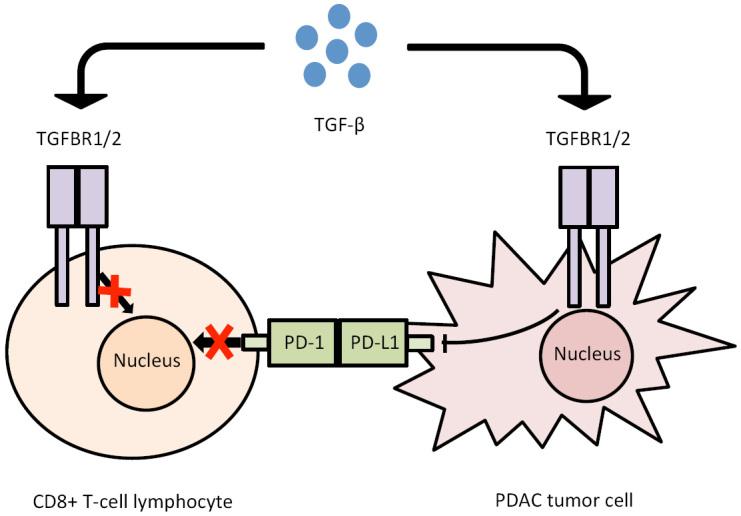 https://cdn.ncbi.nlm.nih.gov/pmc/blobs/4238/9094078/e88af09c28db/cdr-4-559.fig.3.jpg