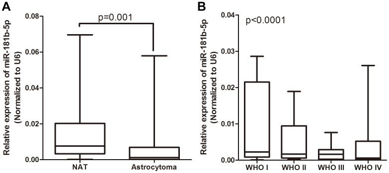 https://cdn.ncbi.nlm.nih.gov/pmc/blobs/423a/4192361/7c1b296c3873/pone.0109124.g001.jpg