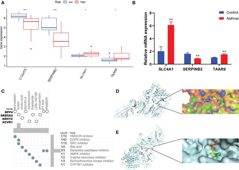 https://cdn.ncbi.nlm.nih.gov/pmc/blobs/423a/9368761/c72cf4b2cb05/fimmu-13-937832-g008.jpg