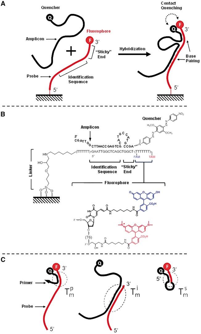 https://cdn.ncbi.nlm.nih.gov/pmc/blobs/423b/6994036/b5932c375aca/bpy005f3.jpg