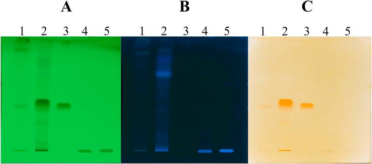 https://cdn.ncbi.nlm.nih.gov/pmc/blobs/423c/11761316/ba5d85378485/mmcfigs2.jpg