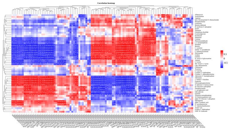 https://cdn.ncbi.nlm.nih.gov/pmc/blobs/423d/12189855/0b2c6552ee4f/biology-14-00718-g008.jpg