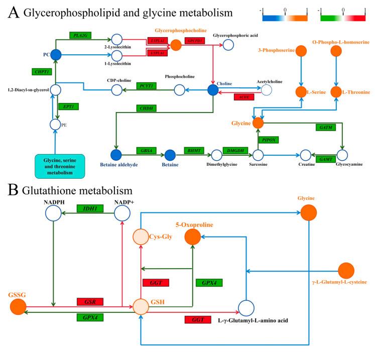 https://cdn.ncbi.nlm.nih.gov/pmc/blobs/423d/12189855/2727ee716e41/biology-14-00718-g009.jpg