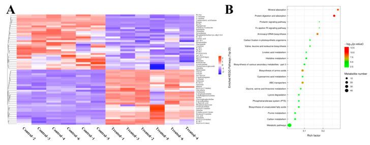 https://cdn.ncbi.nlm.nih.gov/pmc/blobs/423d/12189855/558b38b3e142/biology-14-00718-g004.jpg