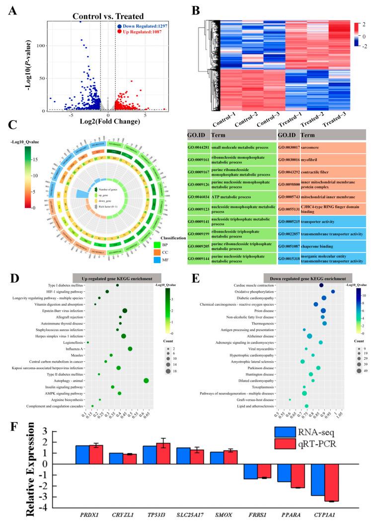 https://cdn.ncbi.nlm.nih.gov/pmc/blobs/423d/12189855/fe542e46e398/biology-14-00718-g006.jpg