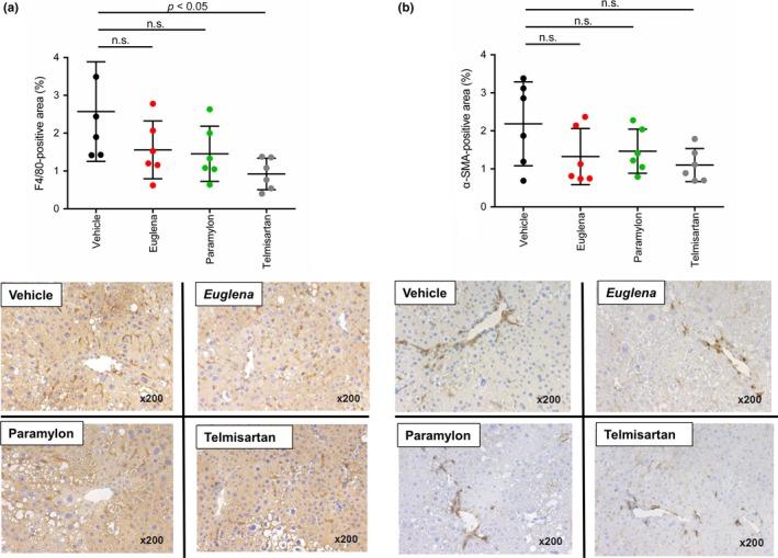https://cdn.ncbi.nlm.nih.gov/pmc/blobs/423e/6341149/68c427093709/FSN3-7-139-g005.jpg