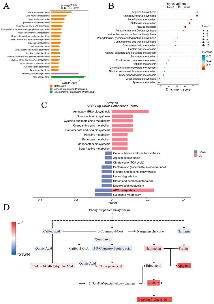 https://cdn.ncbi.nlm.nih.gov/pmc/blobs/4240/11434334/5c1bfc1814e8/metabolites-14-00481-g005.jpg