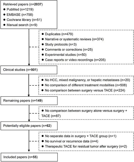 https://cdn.ncbi.nlm.nih.gov/pmc/blobs/4240/4742214/605154a1b691/oncotarget-06-36838-g001.jpg