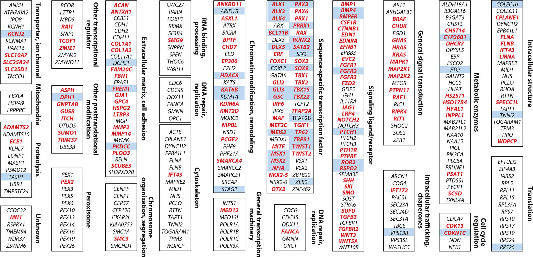https://cdn.ncbi.nlm.nih.gov/pmc/blobs/4243/9482780/81c1d1d4f30f/nihms-1833977-f0001.jpg