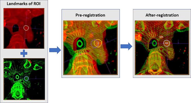 https://cdn.ncbi.nlm.nih.gov/pmc/blobs/4246/10885385/67ea5a01ce3c/13019_2024_2561_Fig2_HTML.jpg