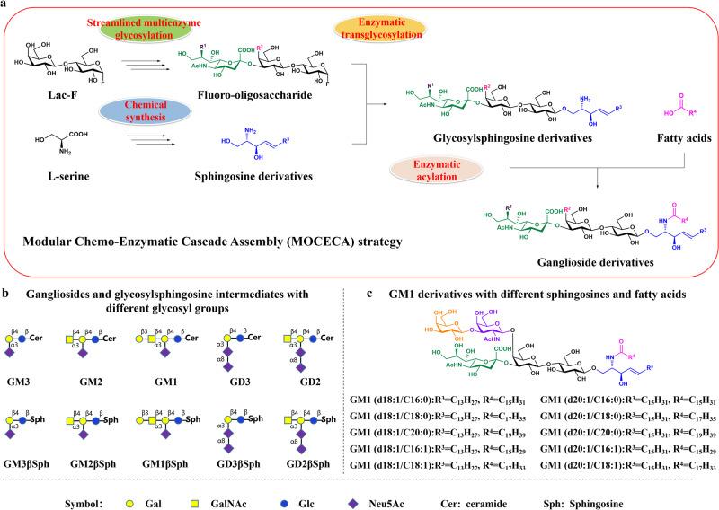 https://cdn.ncbi.nlm.nih.gov/pmc/blobs/4248/10796935/0040d67527e9/42004_2024_1102_Fig1_HTML.jpg
