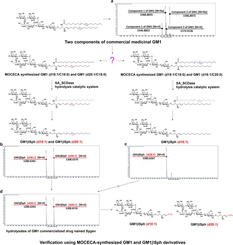 https://cdn.ncbi.nlm.nih.gov/pmc/blobs/4248/10796935/5e8dae32b215/42004_2024_1102_Fig6_HTML.jpg