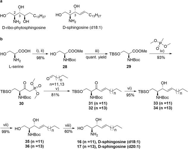 https://cdn.ncbi.nlm.nih.gov/pmc/blobs/4248/10796935/8d194ca7f1f4/42004_2024_1102_Fig2_HTML.jpg