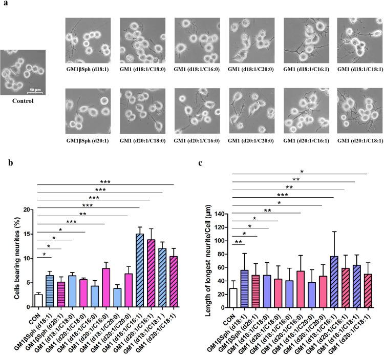 https://cdn.ncbi.nlm.nih.gov/pmc/blobs/4248/10796935/9372dc825b61/42004_2024_1102_Fig4_HTML.jpg
