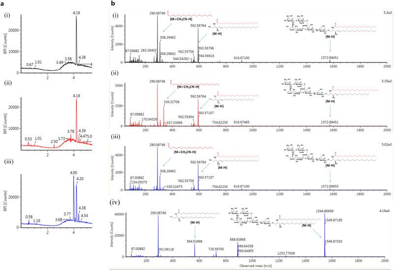 https://cdn.ncbi.nlm.nih.gov/pmc/blobs/4248/10796935/f8a86823c7ce/42004_2024_1102_Fig5_HTML.jpg