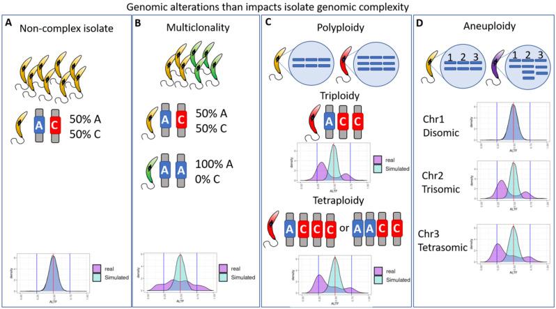 https://cdn.ncbi.nlm.nih.gov/pmc/blobs/424b/11520695/22d3de23c3b9/12864_2024_10862_Fig1_HTML.jpg