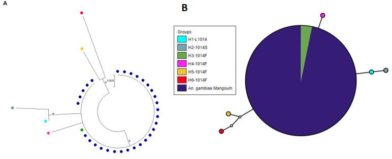 https://cdn.ncbi.nlm.nih.gov/pmc/blobs/424b/9316901/44c4377ea9a8/genes-13-01206-g005.jpg