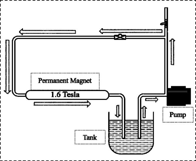 https://cdn.ncbi.nlm.nih.gov/pmc/blobs/424d/12216119/96d18b585246/41598_2025_6883_Fig3_HTML.jpg