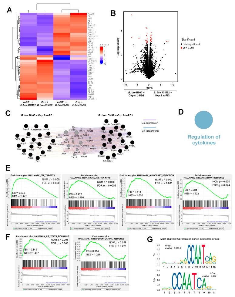 https://cdn.ncbi.nlm.nih.gov/pmc/blobs/424d/7956760/b1424761dd5e/cancers-13-00957-g006.jpg