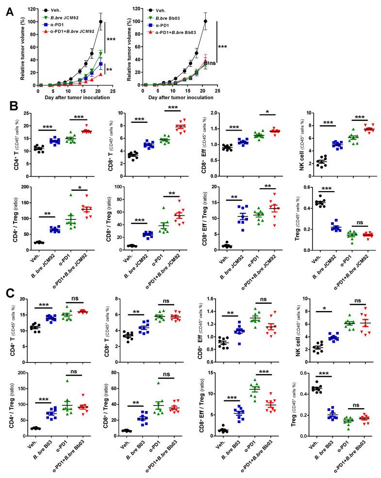 https://cdn.ncbi.nlm.nih.gov/pmc/blobs/424d/7956760/f832b1d9668b/cancers-13-00957-g004.jpg