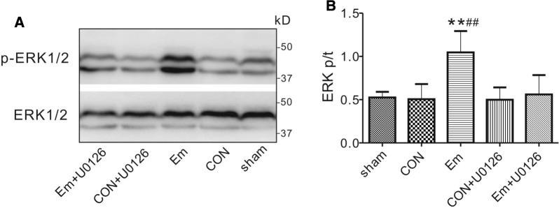 https://cdn.ncbi.nlm.nih.gov/pmc/blobs/424d/8491391/649b76b08ac2/12933_2021_1392_Fig8_HTML.jpg