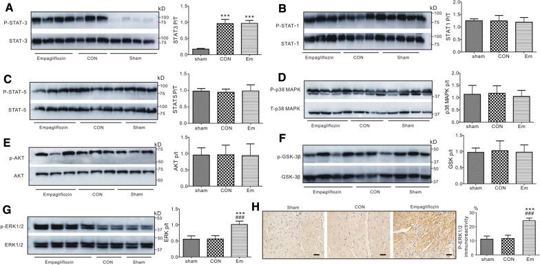 https://cdn.ncbi.nlm.nih.gov/pmc/blobs/424d/8491391/94fe087def67/12933_2021_1392_Fig5_HTML.jpg