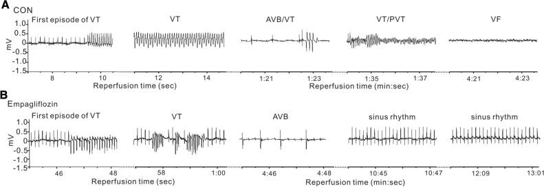 https://cdn.ncbi.nlm.nih.gov/pmc/blobs/424d/8491391/eee41a91752f/12933_2021_1392_Fig3_HTML.jpg