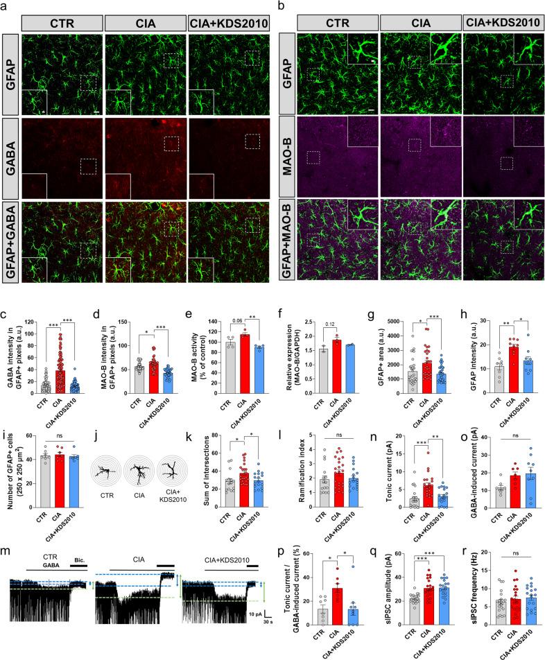 https://cdn.ncbi.nlm.nih.gov/pmc/blobs/424e/9440195/bdf2ad20bb0d/12276_2022_830_Fig5_HTML.jpg