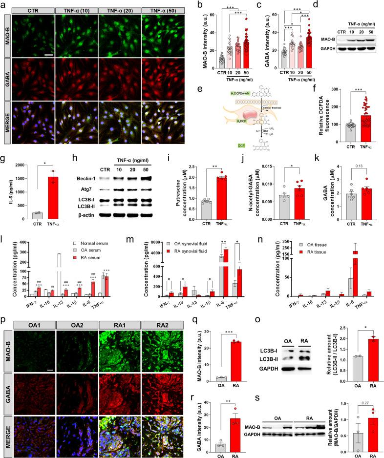 https://cdn.ncbi.nlm.nih.gov/pmc/blobs/424e/9440195/d2b5964eb51b/12276_2022_830_Fig2_HTML.jpg