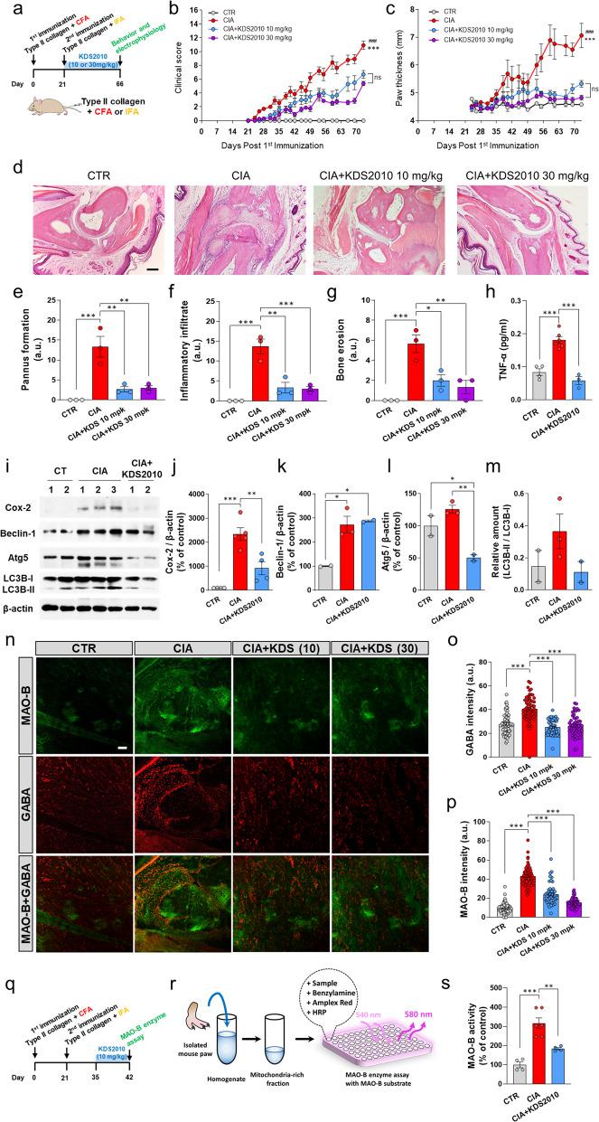 https://cdn.ncbi.nlm.nih.gov/pmc/blobs/424e/9440195/e9c257e6782f/12276_2022_830_Fig3_HTML.jpg