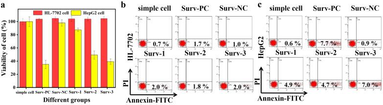 https://cdn.ncbi.nlm.nih.gov/pmc/blobs/4251/12126988/c9608c5f85d8/IJN-20-6831-g0008.jpg