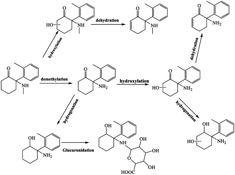 https://cdn.ncbi.nlm.nih.gov/pmc/blobs/4253/12281064/5fc897749e22/gr2.jpg