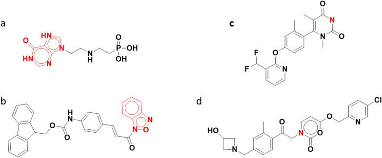https://cdn.ncbi.nlm.nih.gov/pmc/blobs/4253/9148496/540ced75e793/13321_2022_606_Fig6_HTML.jpg