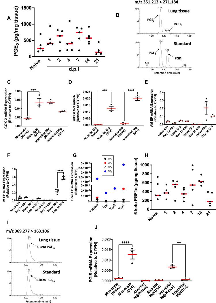 https://cdn.ncbi.nlm.nih.gov/pmc/blobs/4255/11109210/905a896a70c2/41467_2024_48138_Fig5_HTML.jpg