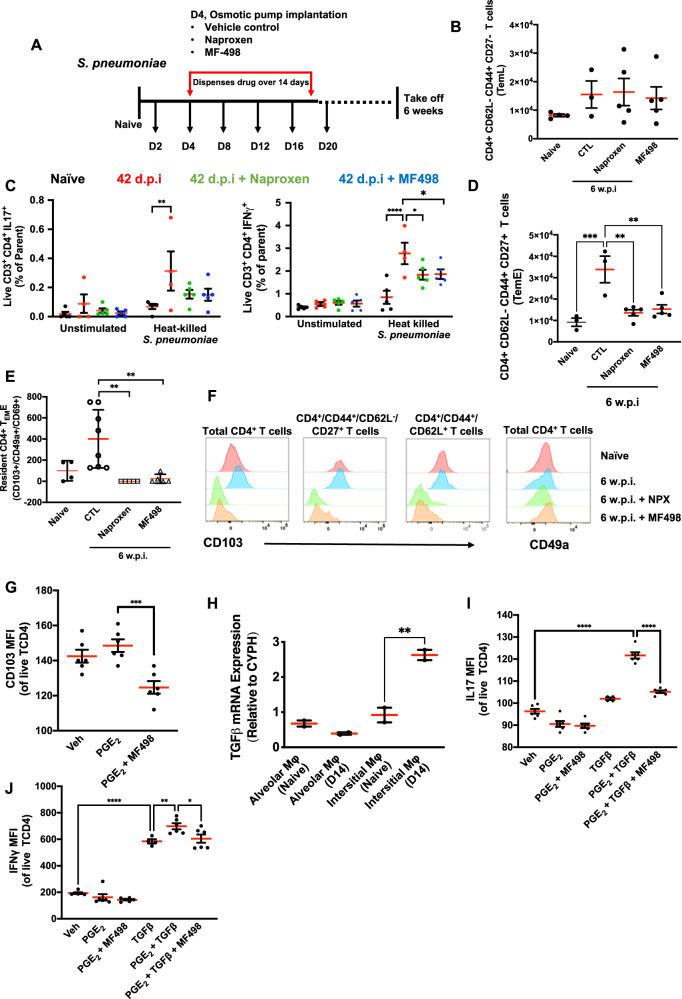 https://cdn.ncbi.nlm.nih.gov/pmc/blobs/4255/11109210/a3e9dde17b60/41467_2024_48138_Fig6_HTML.jpg