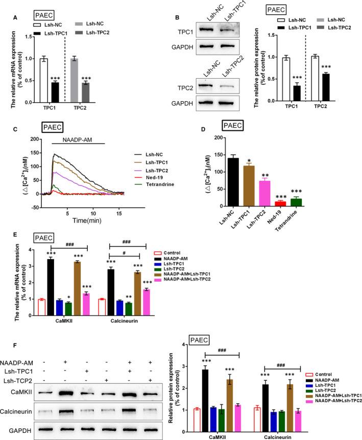 https://cdn.ncbi.nlm.nih.gov/pmc/blobs/4259/8335677/2ae11f534c1c/JCMM-25-7485-g007.jpg