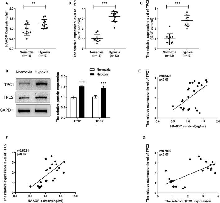 https://cdn.ncbi.nlm.nih.gov/pmc/blobs/4259/8335677/fadc467add73/JCMM-25-7485-g001.jpg