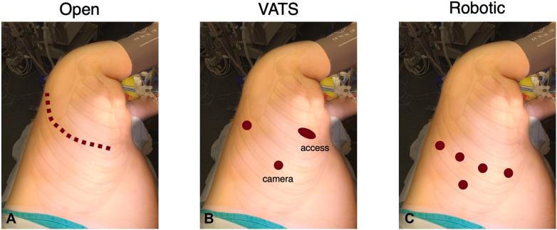 https://cdn.ncbi.nlm.nih.gov/pmc/blobs/425b/11405974/5a5f6d19b073/gr1.jpg