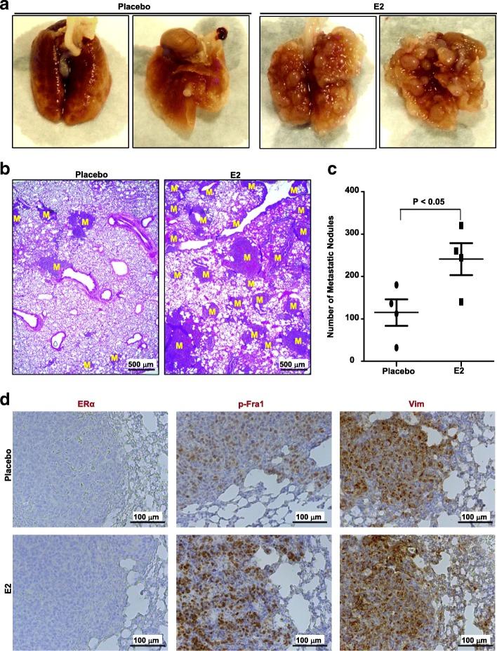 https://cdn.ncbi.nlm.nih.gov/pmc/blobs/425b/6042319/3131c894c3c6/13058_2018_996_Fig2_HTML.jpg